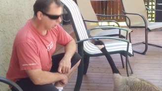 Watch This Man Having A Very Deep Conversation With A Canadian Goose