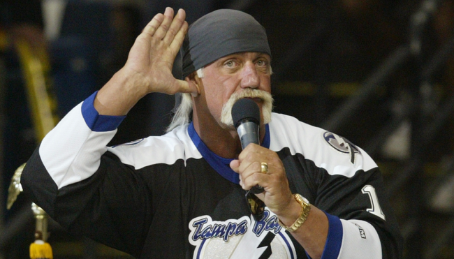 hulk hogan hockey