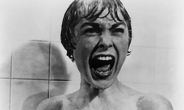 Watch Two Kittens Remake The Classic Shower Scene From Psycho