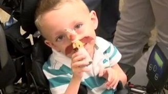 Man Auctions Off His Massive Toy Collection To Help An Adorable Boy Get A New Wheelchair