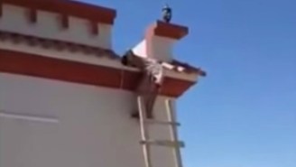 Check Out This Guy On A Roof Falling For A Ladder Prank Over and Over