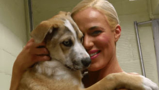 Stop Everything You’re Doing And Watch WWE Superstars Play With Adorable Puppies