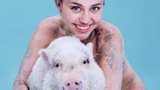 Miley Cyrus Posed Naked With Her Pet Pig, Bubba Sue