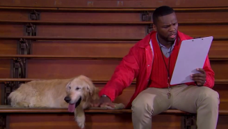 Watch 50 Cent And A Golden Retriever Coach Basketball In The Fake Trailer For ‘Coach Bud’