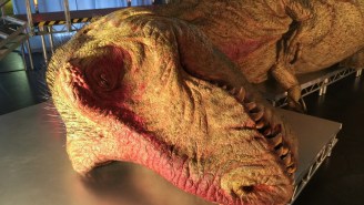 ‘T.rex Autopsy’ advisor John Hutchinson says ‘T.rex was the Tony Soprano of the late Cretaceous’