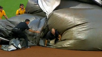 The Tarp Tried To Ruin A Poor Unsuspecting Grounds Crew Member At A Pirates Game