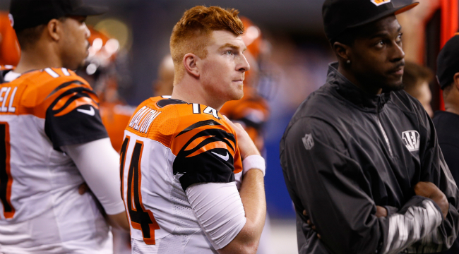 andy dalton