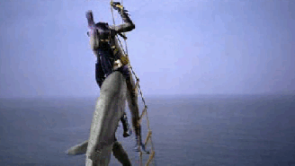 These Shark Attack Videos Will Ruin The Ocean For You