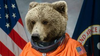 Bears May Hold The Key To Long-Term Space Travel