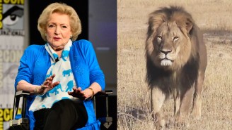 Betty White Fantasizes About Doing Terrible Things To The Dentist Who Killed Cecil The Lion