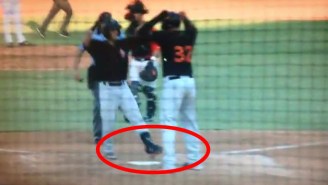 A Minor League Baseball Team Lost A Game In The Most Brutal Way Imaginable