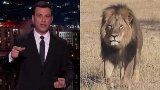 Cecil The Lion’s Memorial Fundraiser Led By Jimmy Kimmel Has Already Raised A Huge Amount Of Money