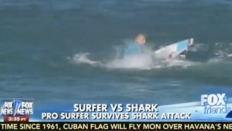 Fox News Host: Why Don’t They Clear The Ocean Of Sharks Prior To Surfing Competitions?