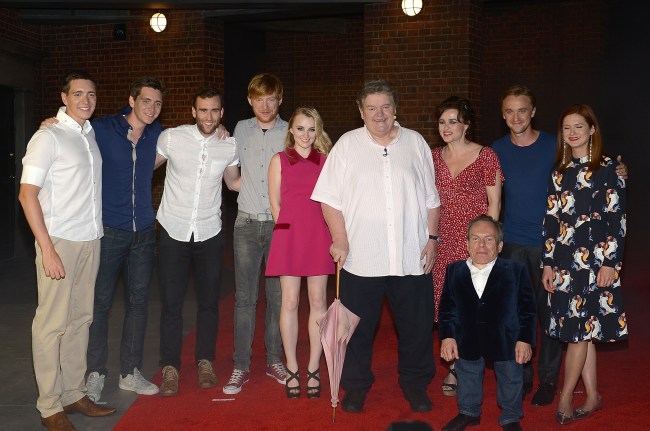 The Wizarding World of Harry Potter Diagon Alley Red Carpet Arrivals