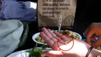 The Worst Girlfriend In The World Pranked Her Boyfriend With Maggots In His Chipotle