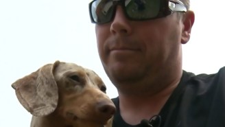 This Man Punched A Cougar In The Face To Save His Weiner (Dog)