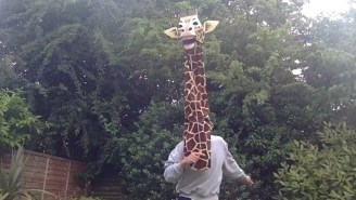 Please Allow This Giraffe To Serenade You To The Sultry Sounds Of Marvin Gaye’s ‘Let’s Get It On’