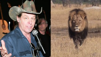 Ted Nugent Doesn’t Buy The Cecil The Lion Narrative: ‘This Whole Story Is A Lie’
