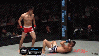 This Is The Most Elaborate Groin Attack In MMA History