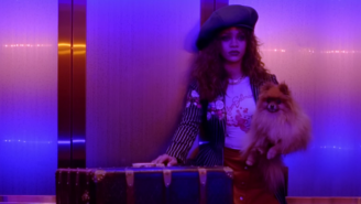 Important Question About Rihanna’s ‘B*tch Better Have My Money’ Video: What Happened To That Dog?