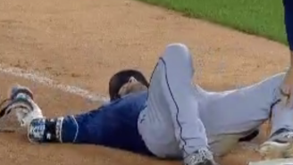 This Fearsome Bird Terrorized Rays Outfielder Kevin Kiermaier And Knocked Him Over