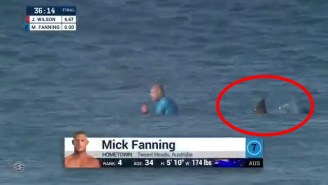A Surfing Event Is On Hold After This Shark Attack Was Captured On Live TV