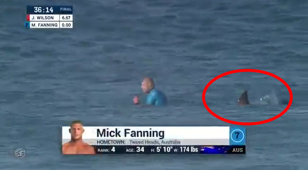 Mick Fanning Shark Attack Video