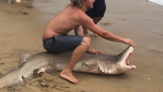 Watch This Manly Fisherman Pull A Shark Out Of The Water With His Bare Hands