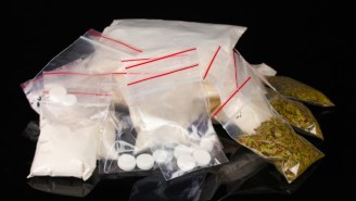 You Wouldn’t Believe The Insane Amount Of Drugs Cops Found On Two Guys At Bonnaroo