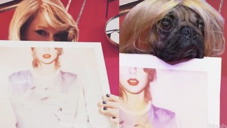 Here Is A Pug Recreating Taylor Swift’s Most Famous Instagram Photos