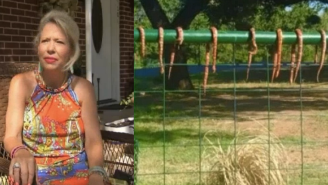 A Texas Family Is Afraid To Leave Their Home Because It’s Surrounded By Snakes