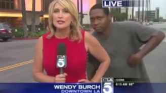 Videobomber scares the [bleep] out of L.A. news reporter