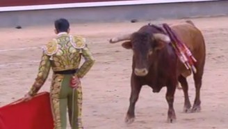 Things Didn’t Go Well For This Bullfighter, And He Took A Horn Through The Neck As A Result