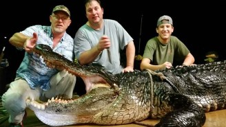 Alabama Hunters Catch 920-Pound Gator, Plan On Eating 250 Pounds Of It