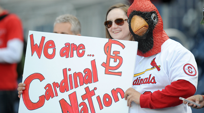 cardinals fan