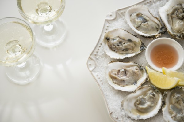 Studio shot of white wine and oysters