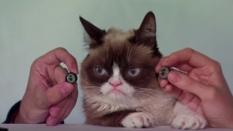 Grumpy Cat Will Be The First Cat Immortalized By Madame Tussauds