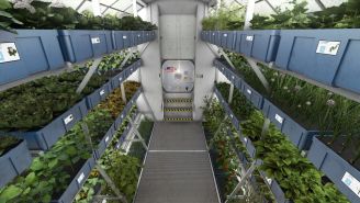 Astronauts Will Finally Get To Eat Vegetables Grown In Space