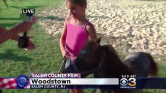 Watch This Adorable Micro Pony Kick A Little Girl On Live TV