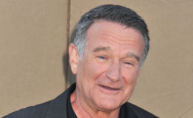 robin_williams_flipped