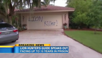 The Dentist Who Killed Cecil The Lion Had His Vacation Home Vandalized