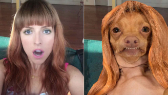 This ‘Famous’ Instagram Dog Is Just Out Here Recreating Anna Kendrick’s Photos