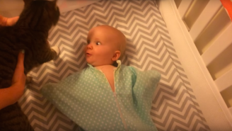 This Newborn Baby Loves Cats More Than You Do