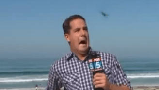 Watch This Local Weatherman Freak Out When A Large Bug Flies At His Face