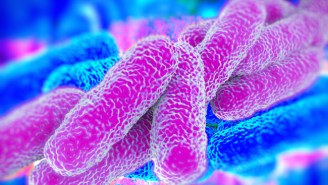 Four People Have Died Of Legionnaires’ Disease In New York This Summer