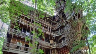 Take A Tour Of The World’s Largest Treehouse (Which Comes With Its Own Penthouse)