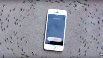 Watch A Group Of Army Ants Form A ‘Spiral Of Death’ Around A Vibrating iPhone