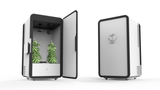 Now You Can Hide Your Pot Plants In This High-Tech Mini-Fridge