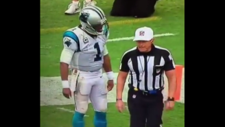 Cam Newton Made Some Serious Allegations Against Referee Ed Hochuli