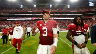 Carson Palmer Came Home From Church To Find A NSFW Light-Deer Display In His Driveway